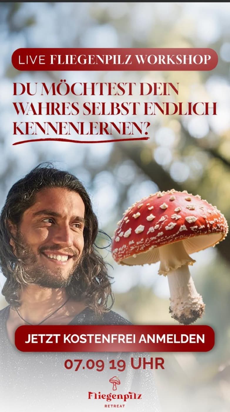 Ad Creative aus dem Portfolio von Armin Kadic